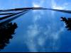 sky window